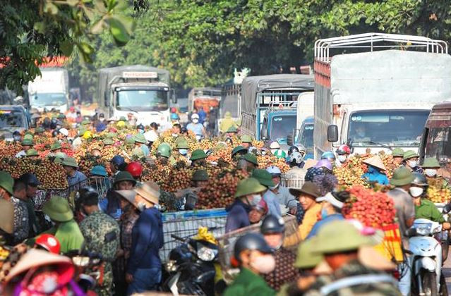 Quốc lộ 31 thi công khiến người dân 'thủ phủ vải' Bắc Giang gặp khó ảnh 2