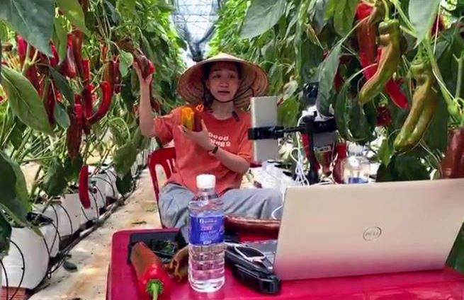 Đẩy mạnh chuyển đổi số trong khu vực kinh tế hợp tác, hợp tác xã ảnh 1