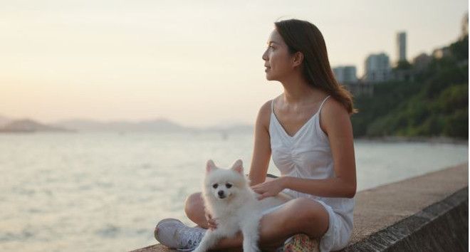 Thú cưng khiến chúng ta cảm thấy hạnh phúc hơn như thế nào? ảnh 1