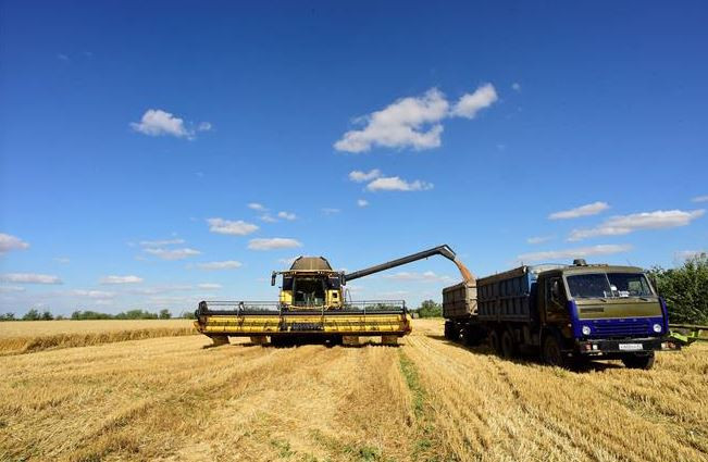 Nga hạn chế hoạt động đăng ký tàu, thỏa thuận ngũ cốc Biển Đen gặp khó ảnh 1