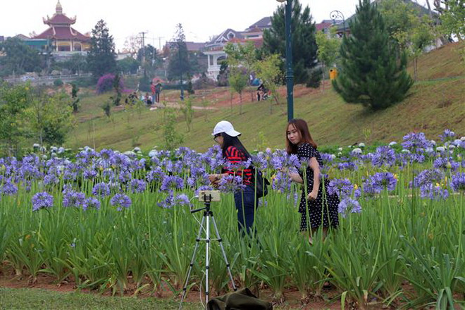 Đà Lạt: Khách sạn tăng giá, khan hiếm phòng dịp Tết Dương lịch ảnh 1
