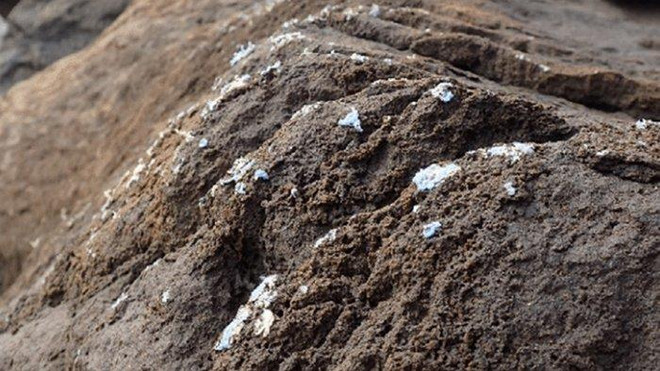 (Nguồn: sciencealert.com) Các nhà khoa học phát hiện loại ô nhiễm nhựa mới trên biển ảnh 1