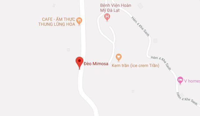 Làm rõ vụ san ủi đất, phân lô, làm đường trái phép ở Đà Lạt ảnh 1