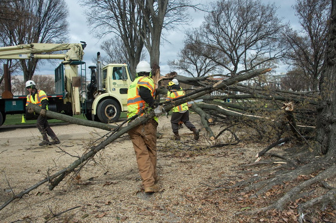 Hàng nghìn chuyến bay bị hủy do bão tuyết ở Đông Bắc nước Mỹ ảnh 1