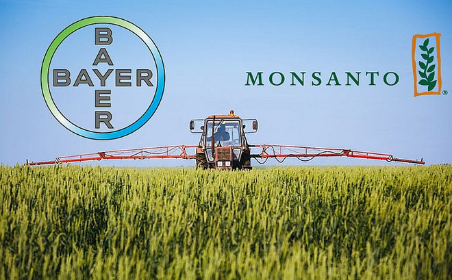 Liên minh châu Âu bật đèn xanh cho thương vụ Bayer-Monsanto ảnh 1
