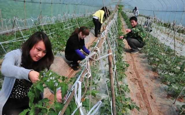 7 triệu lao động Trung Quốc ở nước ngoài về quê nhà khởi nghiệp ảnh 1