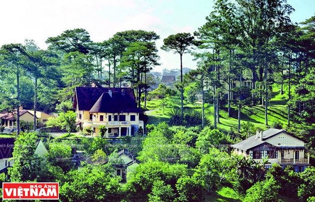 Chiêm ngưỡng khu biệt thự cổ giữa rừng thông Đà Lạt ảnh 1