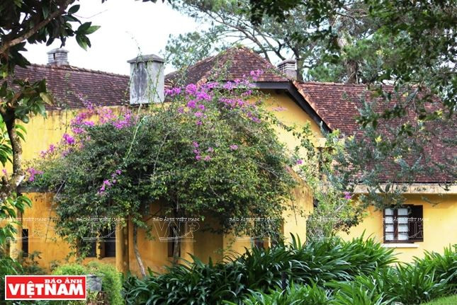 Chiêm ngưỡng khu biệt thự cổ giữa rừng thông Đà Lạt ảnh 10