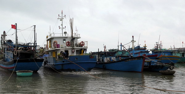 Tàu cá bị mất liên lạc, 8 ngư dân mất tích tại Vịnh Bắc Bộ ảnh 1