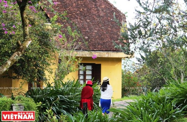 Chiêm ngưỡng khu biệt thự cổ giữa rừng thông Đà Lạt ảnh 11