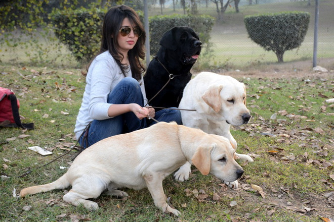 Những chú chó cùng với chủ nhân tại triển lãm vật nuôi tại Lahore, Pakistan ngày 10/12. (Nguồn: THX/TTXVN) Cảnh báo nguy cơ mắc bệnh từ việc cho thú cưng ăn thịt sống ảnh 1