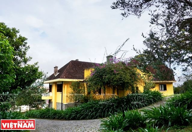 Chiêm ngưỡng khu biệt thự cổ giữa rừng thông Đà Lạt ảnh 6