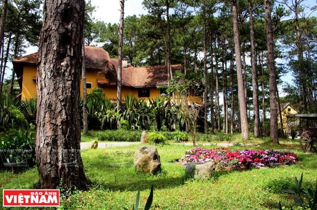 Chiêm ngưỡng khu biệt thự cổ giữa rừng thông Đà Lạt ảnh 3