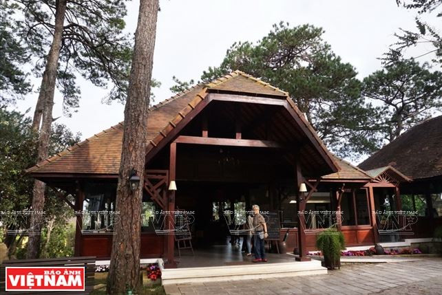 Chiêm ngưỡng khu biệt thự cổ giữa rừng thông Đà Lạt ảnh 4