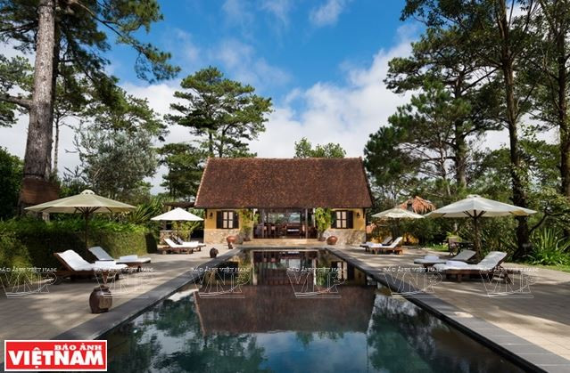 Chiêm ngưỡng khu biệt thự cổ giữa rừng thông Đà Lạt ảnh 12