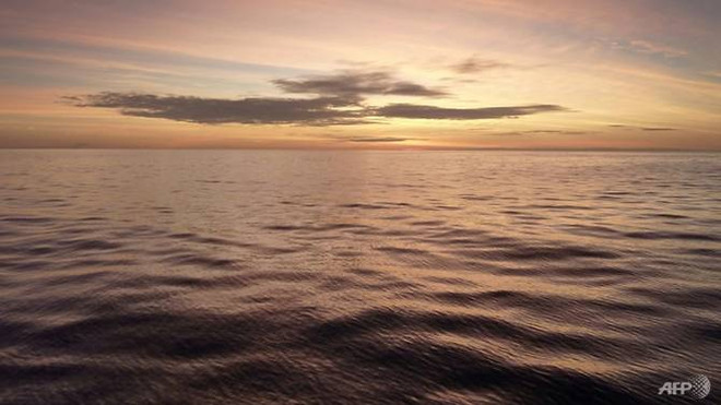 Đầu bếp hàng đầu châu Âu nói "Không" với hải sản đánh bằng xung điện ảnh 1