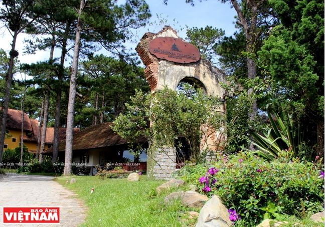 Chiêm ngưỡng khu biệt thự cổ giữa rừng thông Đà Lạt ảnh 2