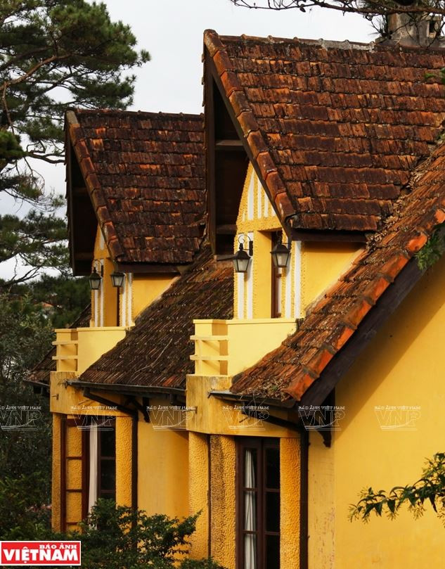 Chiêm ngưỡng khu biệt thự cổ giữa rừng thông Đà Lạt ảnh 7