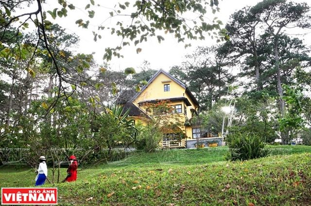Chiêm ngưỡng khu biệt thự cổ giữa rừng thông Đà Lạt ảnh 5