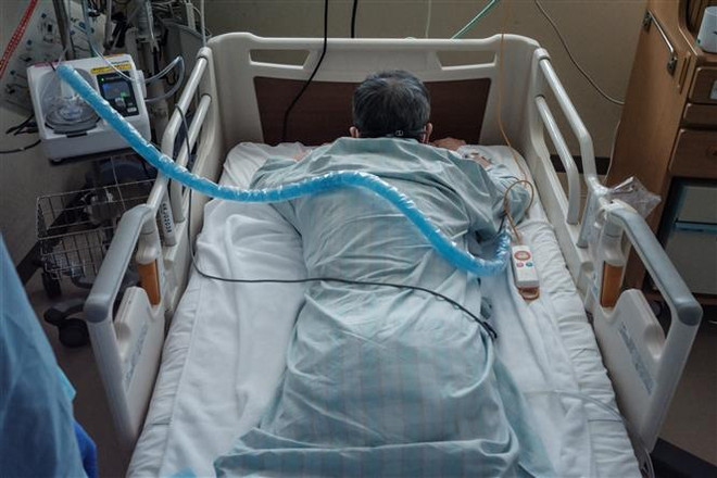 Chuyên gia Nhật Bản khuyến nghị dùng thuốc kháng virus của Merck ảnh 1