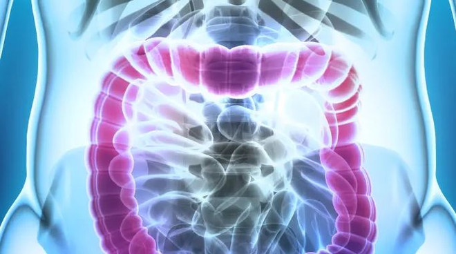 Hướng đi mới trong việc điều trị bệnh viêm ruột và ung thư ảnh 1