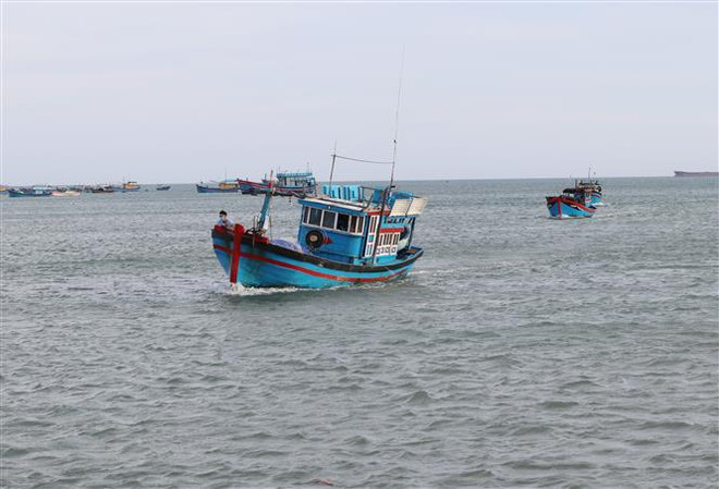 Bão số 9 gây gió cấp 13, giật cấp 14 tại đảo Song Tử Tây ảnh 1