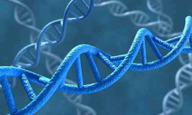 Somalia lần đầu tiên sử dụng ADN để kết án các 'yêu râu xanh' ảnh 1