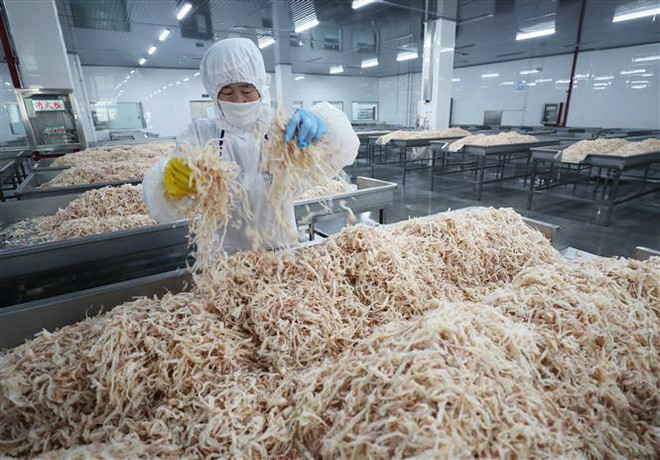 Bắc Kinh đủ năng lực để vượt qua cuộc chiến thương mại với Mỹ? ảnh 1