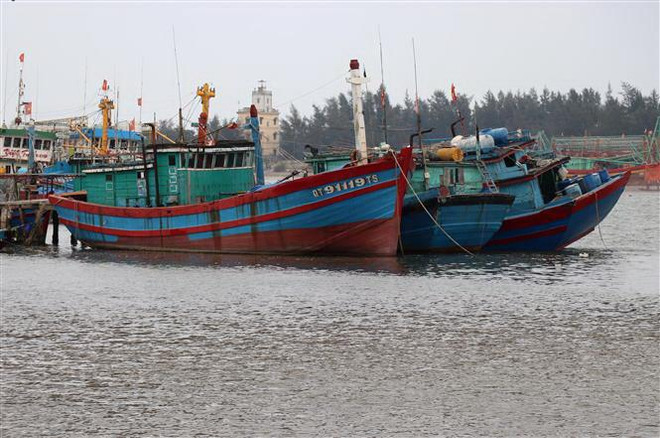 Thủ tướng chỉ đạo xử lý nghiêm các tàu cá vi phạm khai thác IUU ảnh 1