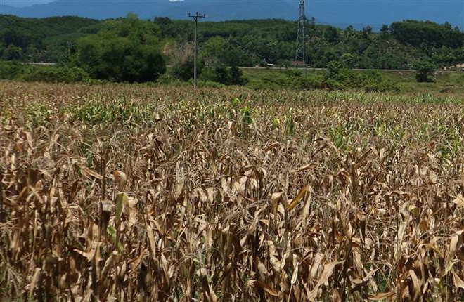 Trong tháng 7, Bắc Bộ và Trung Bộ có đến 3 đợt nắng nóng diện rộng ảnh 1
