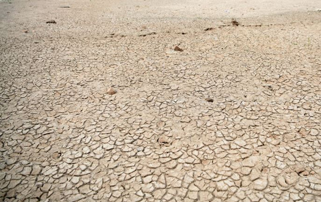 Mực nước hồ chứa lớn nhất Trung Quốc thấp kỷ lục vì hạn hán kéo dài ảnh 1