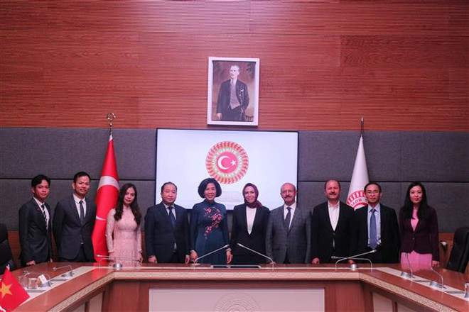 Đoàn đại biểu Đảng Cộng sản Việt Nam thăm làm việc tại Thổ Nhĩ Kỳ ảnh 3