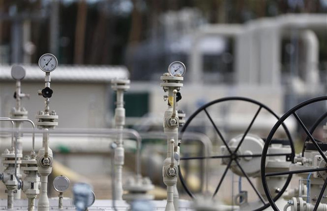 Châu Âu tìm kiếm những biện pháp khẩn cấp đối với vấn đề khí đốt ảnh 1