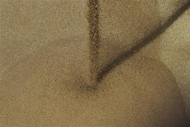 Tổng thống Nga Vladimir Putin để ngỏ khả năng tăng xuất khẩu ngũ cốc ảnh 1