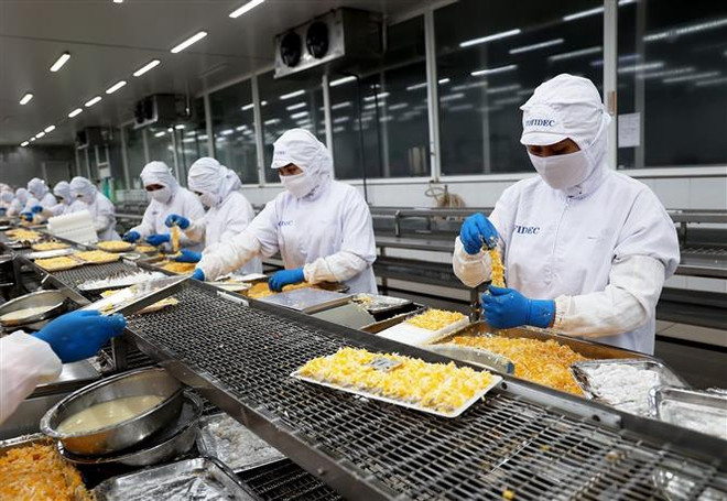 Dây chuyền chế biến sản phẩm tôm xuất khẩu. (Ảnh: Hồng Đạt/TTXVN) Hội thảo nâng cao năng lực cho doanh nghiệp Việt Nam tại Đan Mạch ảnh 1