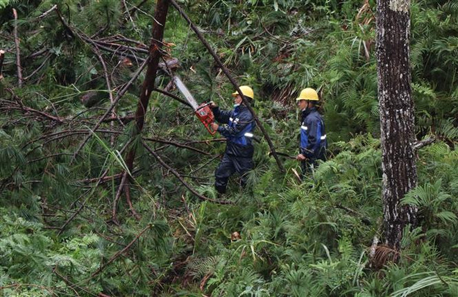 Kon Tum kiểm tra, rà soát, khắc phục nhanh thiệt hại do bão số 4 ảnh 1