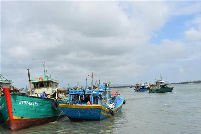 Bà Rịa-Vũng Tàu nâng cấp chất lượng hạ tầng phục vụ nghề cá ảnh 2