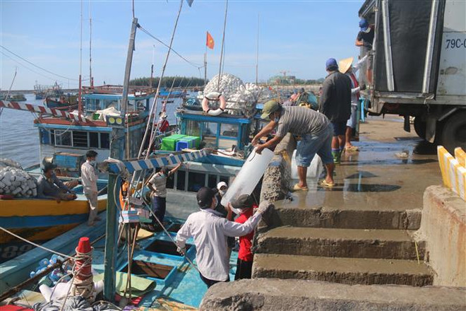 Bà Rịa-Vũng Tàu nâng cấp chất lượng hạ tầng phục vụ nghề cá ảnh 1