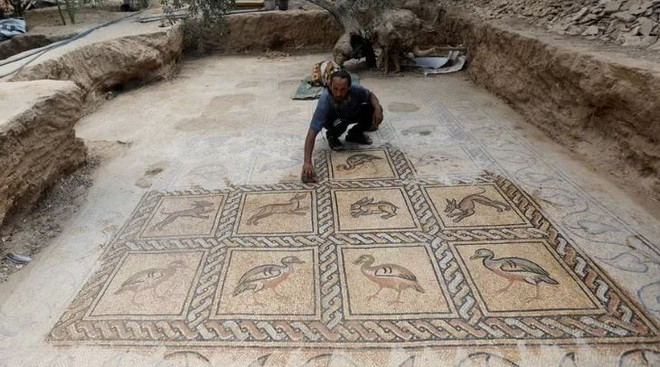 Phát hiện sàn nhà cổ trang trí tranh khảm quý hiếm tại Gaza ảnh 1