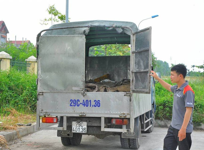 Vi phạm giờ lưu thông, xe tải lộ tẩy hơn 1 tấn da trâu, bò thối ảnh 1