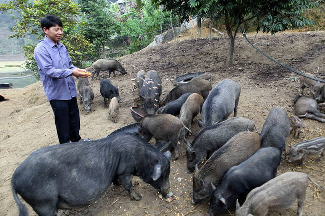 Huyện Chợ Đồn - vùng quê cách mạng đang "thay da đổi thịt" ảnh 1