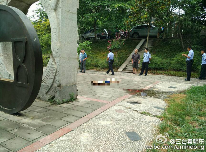 Cậu bé 10 tuổi chết oan ức vì bức tượng đổ ở Tứ Xuyên ảnh 1