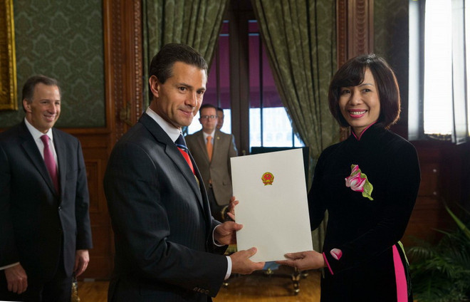 Đại sứ Việt Nam trình thư ủy nhiệm lên Tổng thống Mexico ảnh 1