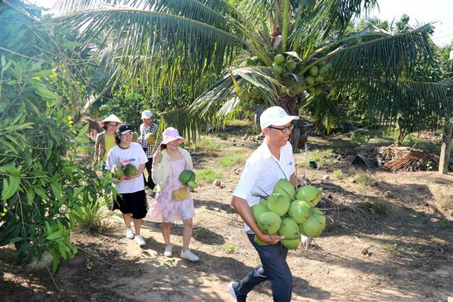 Bình Thuận khai thác tiềm năng phát triển du lịch Hàm Thuận Nam ảnh 3
