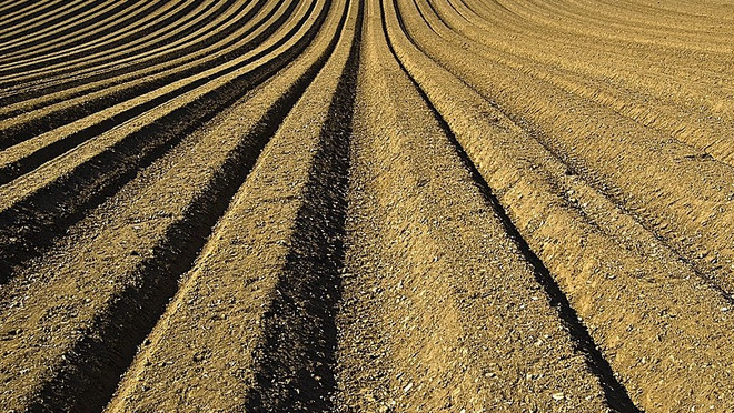 Châu Phi và cơ hội đóng góp vào cuộc chiến chống biến đổi khí hậu ảnh 1