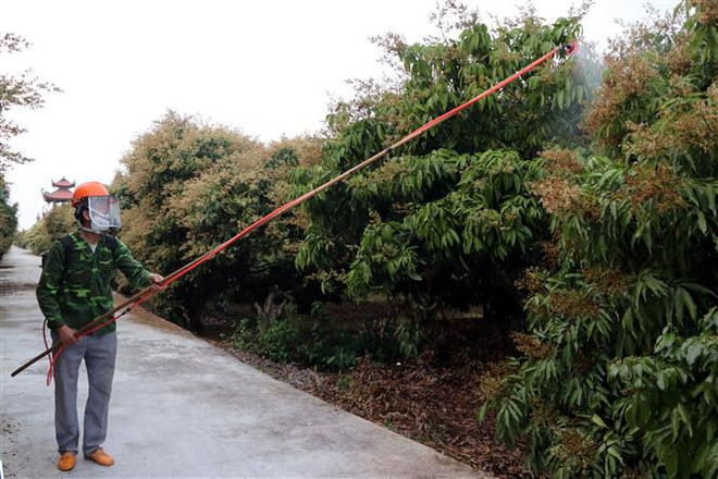 Hải Dương nhanh chóng phục hồi sản xuất, kinh doanh sau dịch COVID-19 ảnh 2