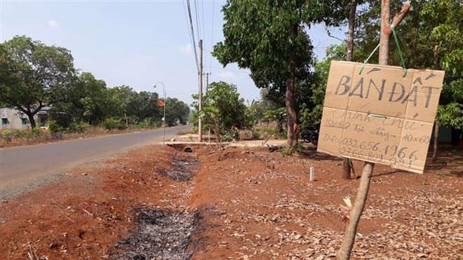 Savills Việt Nam: Nhà đầu tư cần tỉnh táo trước những cơn 'sốt đất' ảnh 1