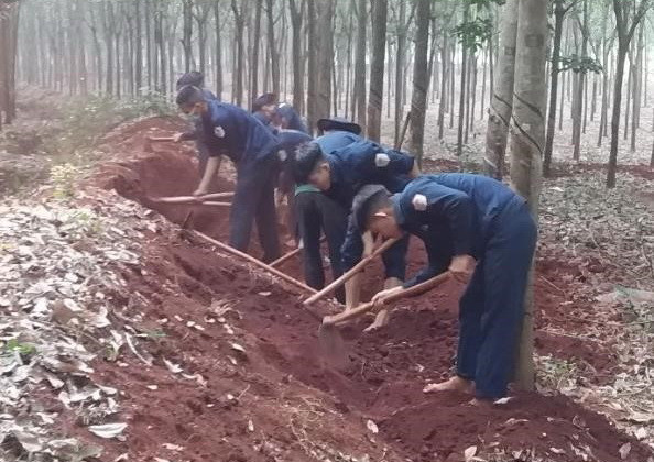 Các chiến sỹ Đội K72 đang đào tìm và cất bốc các phần mộ liệt sỹ tại khu vực Nông trường 1 - Công ty cao su Lộc Ninh, thuộc địa bàn ấp Măng Cải, xã Lộc Thiện, huyện Lộc Ninh, tỉnh Bình Phước. (Nguồn: TTXVN phát) Phát hiện thêm 8 hài cốt liệt sỹ tại rừng cao su ở Bình Phước ảnh 1