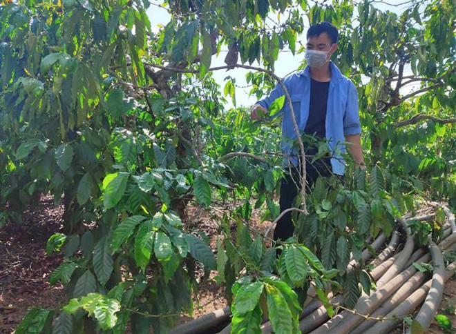 Hiệu quả của Đề án tín dụng chính sách cho vay tiêu dùng ảnh 1