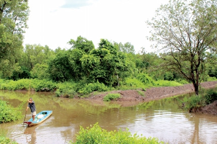 Du lịch sinh thái - hướng bảo tồn bền vững các vườn chim tại Cà Mau ảnh 2